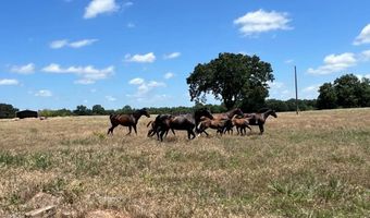 2459 Bussell Ridge Rd, Ardmore, OK 73401