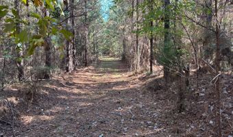1 Smith County Road 18-5A, Bay Springs, MS 39422