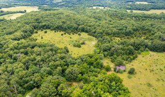 Co Rd 539, Ava, MO 65629