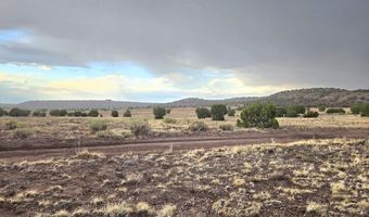 Pinon Valley Ranch lot 9, Concho, AZ 85924