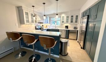 805 E Cooper Ave 12, Aspen, CO 81611