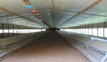 502 Arch Helms Rd, Americus, GA 31719