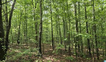 0 CRAGFORD Rd, Ashland, AL 36251