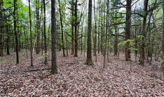 81 N Hwy, Calhoun Falls, SC 29628