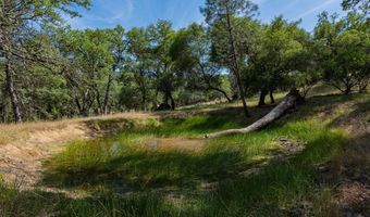 0 Pool Station Rd, Angels Camp, CA 95222