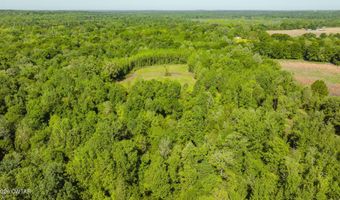 Beech Bluff Road, Beech Bluff, TN 38313