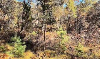 10 Acres County Road C, Arkdale, WI 54613