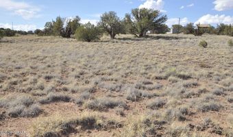 10 N9228, Concho, AZ 85924