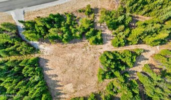 L13B1 Leonard Loop, Athol, ID 83801