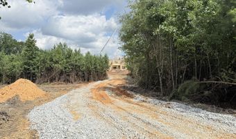 Lot 2 Silver Dollar, Barnesville, GA 30204