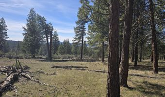 Widgeon Drive 39, Bonanza, OR 97623
