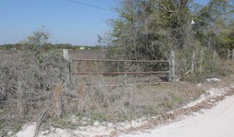 NW 50th STREET, Bell, FL 32619