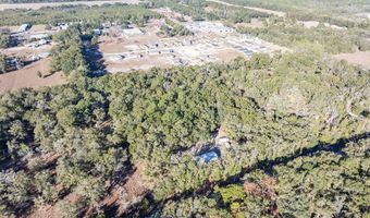 1809 Rosemary Cir, Bell, FL 32619