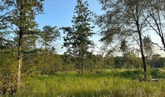 9751 Ocelot, Gilmer, TX 75644