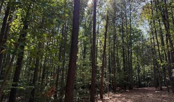 Coleman Mountain Road, Appomattox, VA 24522