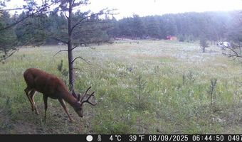 County Road 59, Allenspark, CO 80510