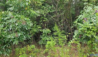 115 Christian Way, Attalla, AL 35954