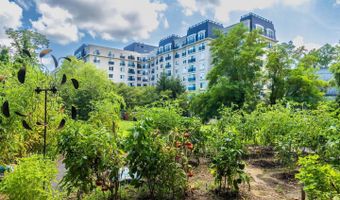 5 PARK Pl #302, Annapolis, MD 21401