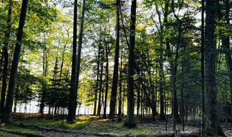 Lot 3 MARSHA LN, Arbor Vitae, WI 54568