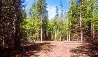 Nka Wandering Wolf Ridge Lot 3, Clark Fork, ID 83811