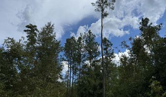 08 Adams Rd, Bankston, AL 35542