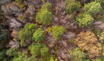 257 W Chapman Rd, Belton, SC 29627