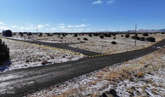 102 County Road 5105, Concho, AZ 85924