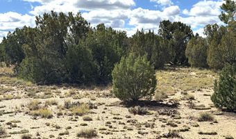 5 Clubhouse Ln, Concho, AZ 85924