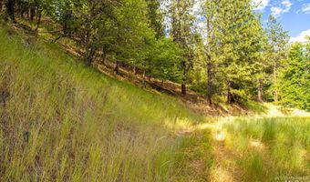 0 Whitetail Dr, Ahsahka, ID 83520