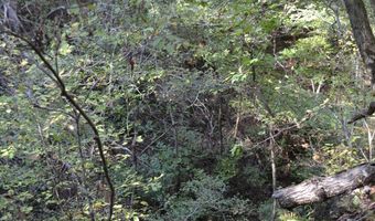 000 Hwy 14, Ava, MO 65608