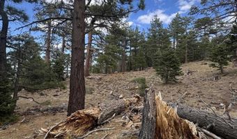 636 Mountain Center 35-0002, Mountain Center, CA 92561