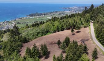 McVay Creek Rd TL310, Brookings, OR 97415