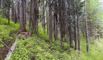 45 Landale Ln Lot 41, Cascade, ID 83611
