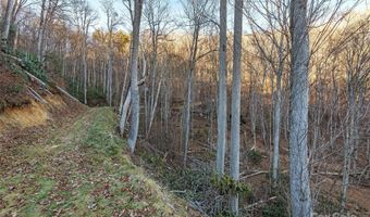NC 209 Highway, Aurora, NC 28743