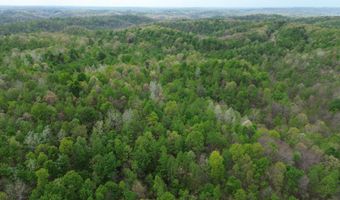 566 A Tunnel Ridge Rd, Argillite, KY 41121