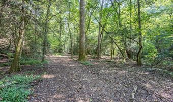 23 59 Ac Chestnut Flats Rd, Andrews, NC 28901