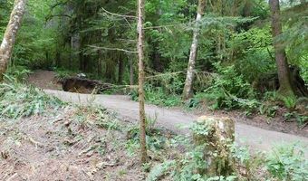 10286 RIDGE VIEW Ter, Birkenfeld, OR 97016