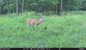 694 A Tunnel Ridge Rd, Argillite, KY 41121