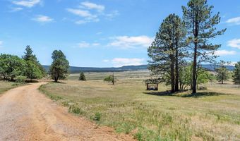 39 Martin Luther King Blvd, Angel Fire, NM 87110