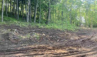 161 Porter Lk, Amasa, MI 49903