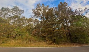 Goodwin Cove lot 29, Ash Flat, AR 72513