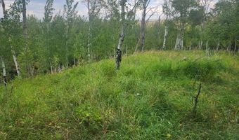 N 4600 E, Ashton, ID 83420