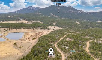 805 Lodge Pole Dr, Black Hawk, CO 80422