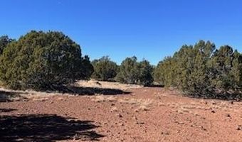 44 County Road 8114, Concho, AZ 85924