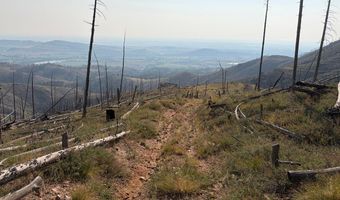 Pine Acres Rd, Bellvue, CO 80512
