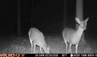 U.S. Highway 51, Bogue Chitto, MS 39629