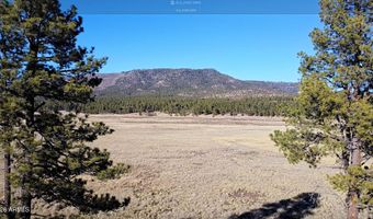 3 County Road N2261, Alpine, AZ 85920