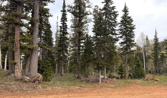 646 W Ski View Dr, Brian Head, UT 84719