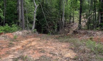 40 Acres Forestry Road 356, Beaumont, MS 39423