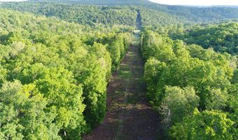 TBD CR 935, Alpena, AR 72611